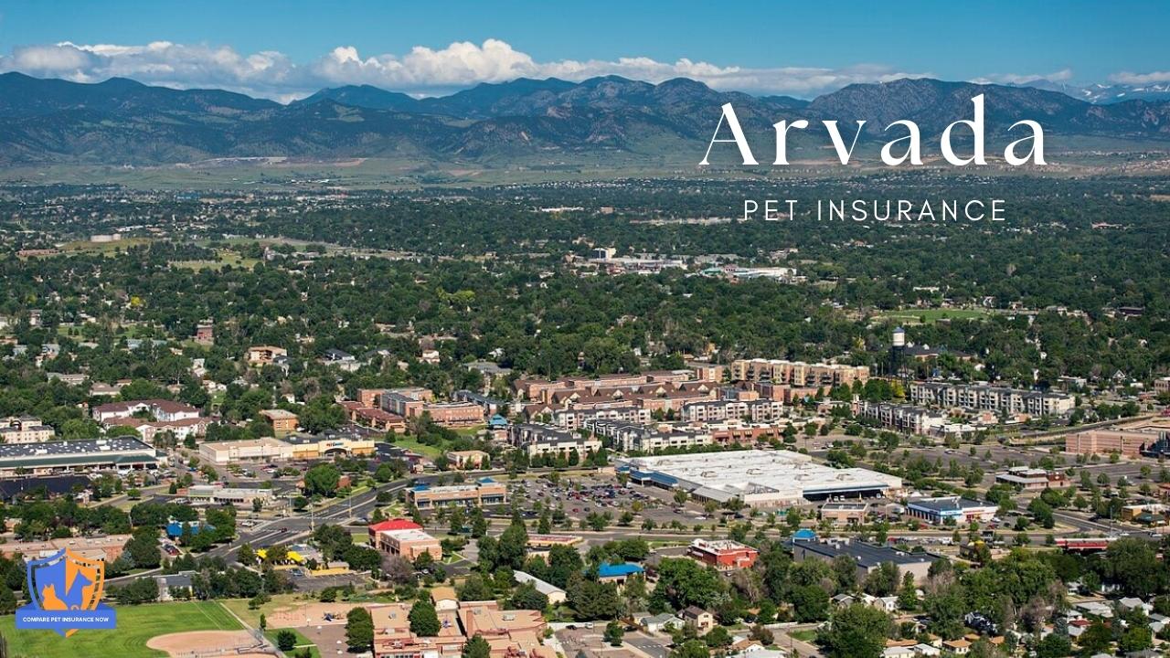 arvada pet insurance