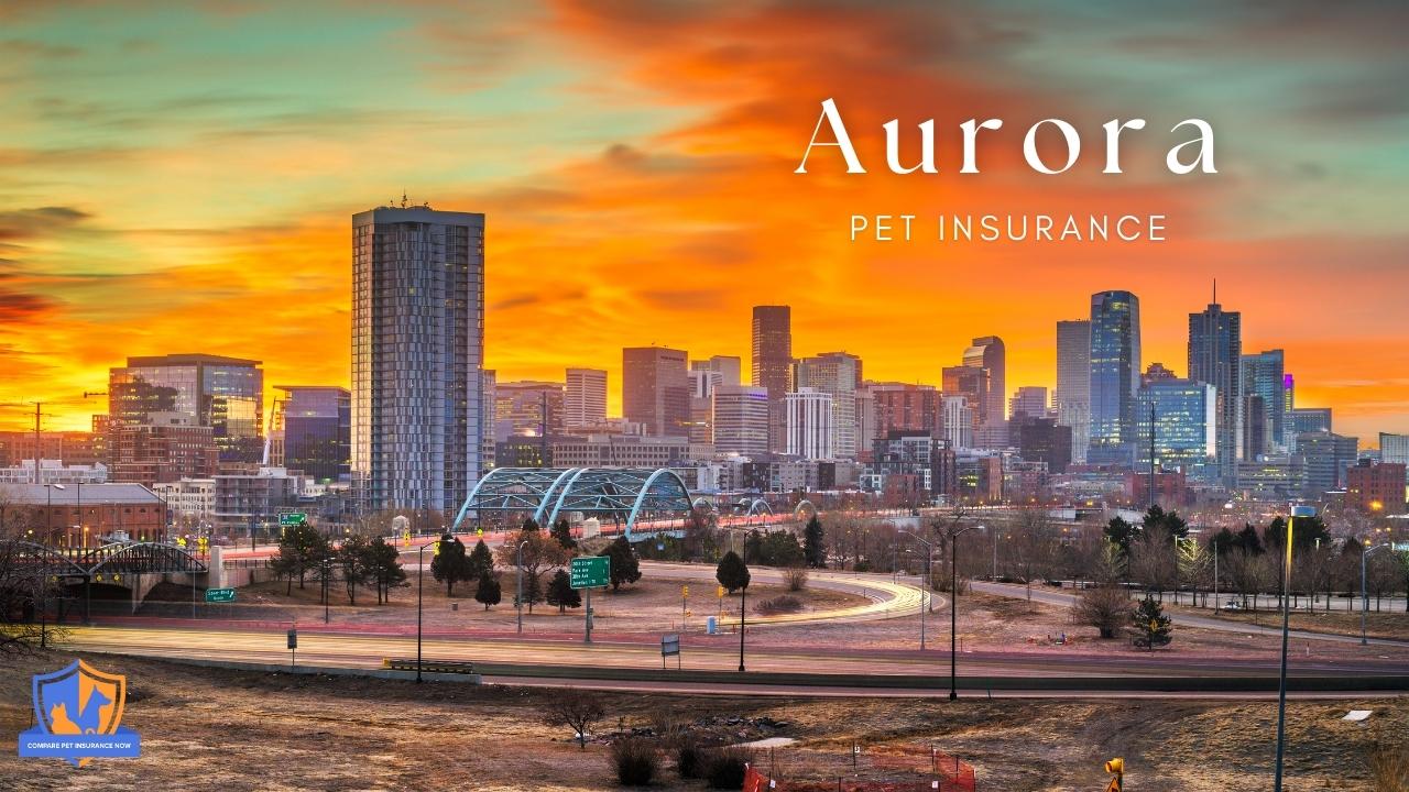 aurora pet insurance