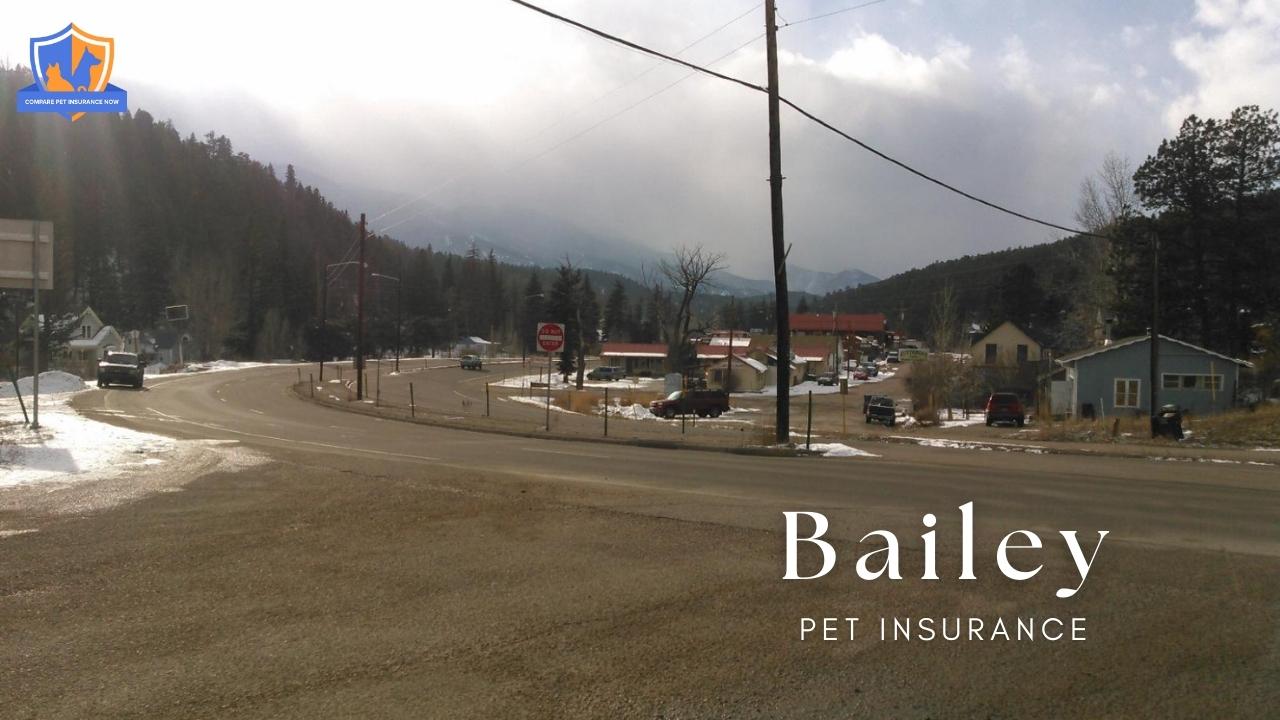 bailey pet insurance