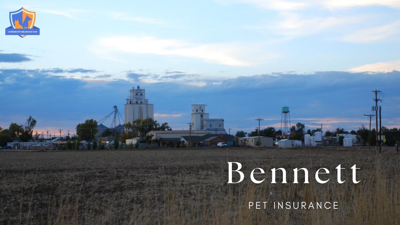 bennett pet insurance