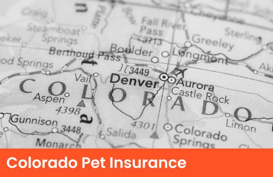 colorado pet insurance