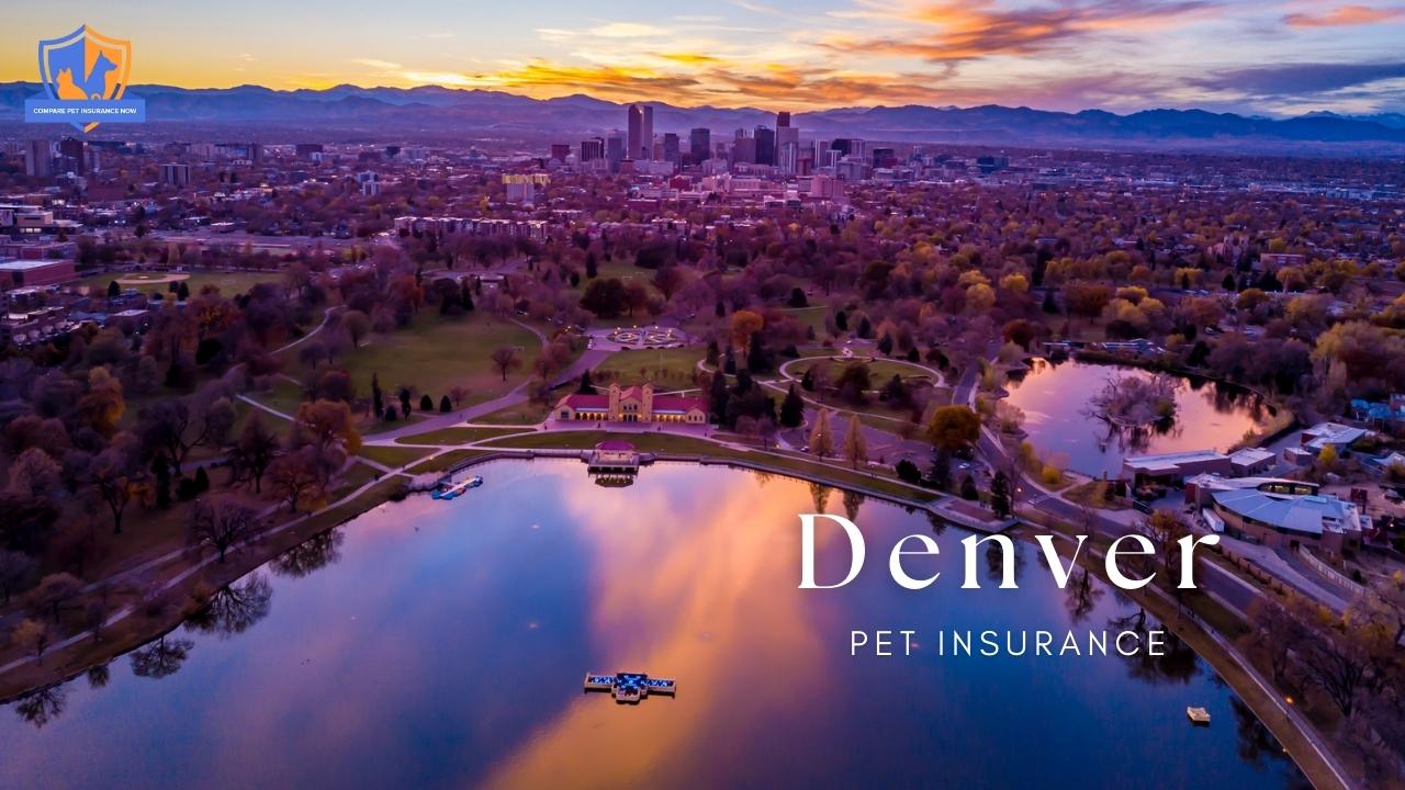 denver pet insurance