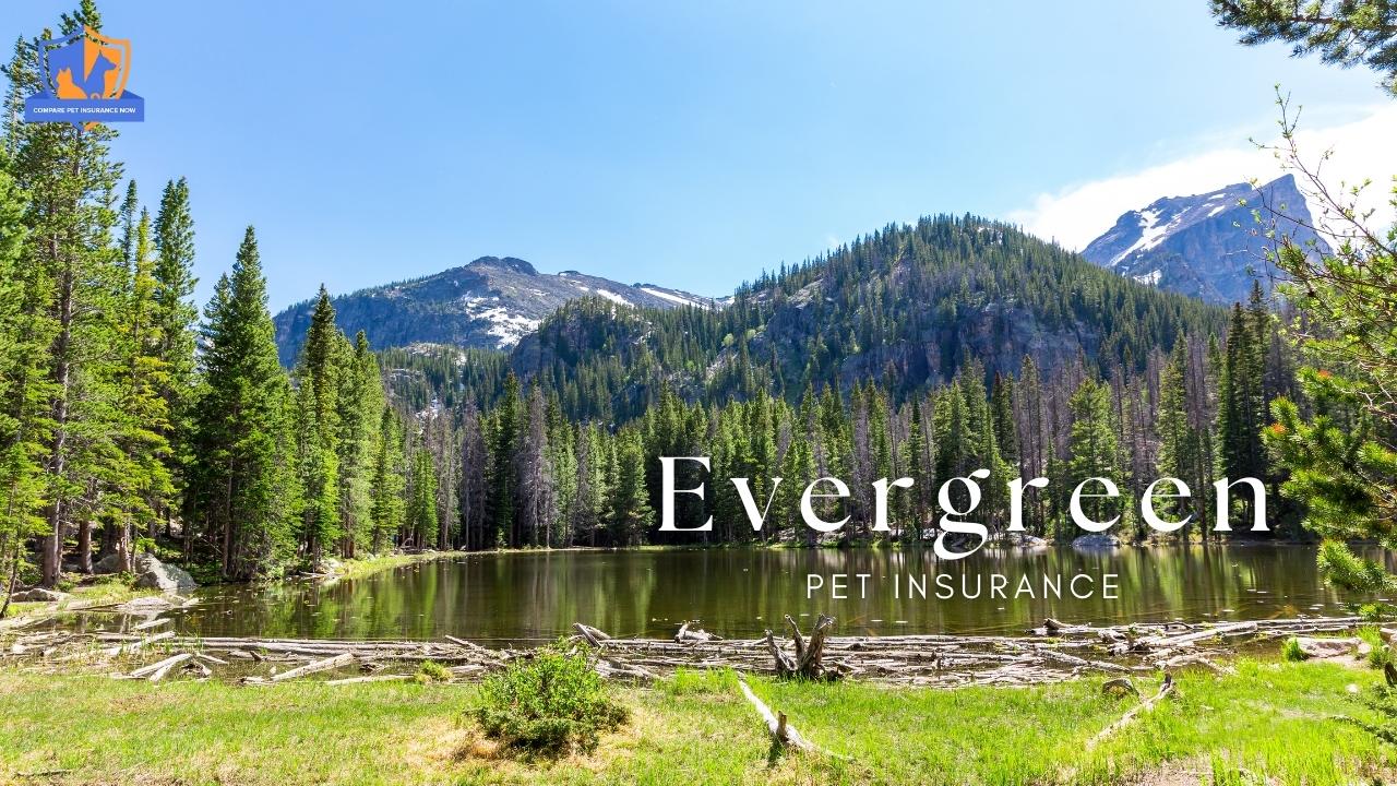 evergreen pet insurance