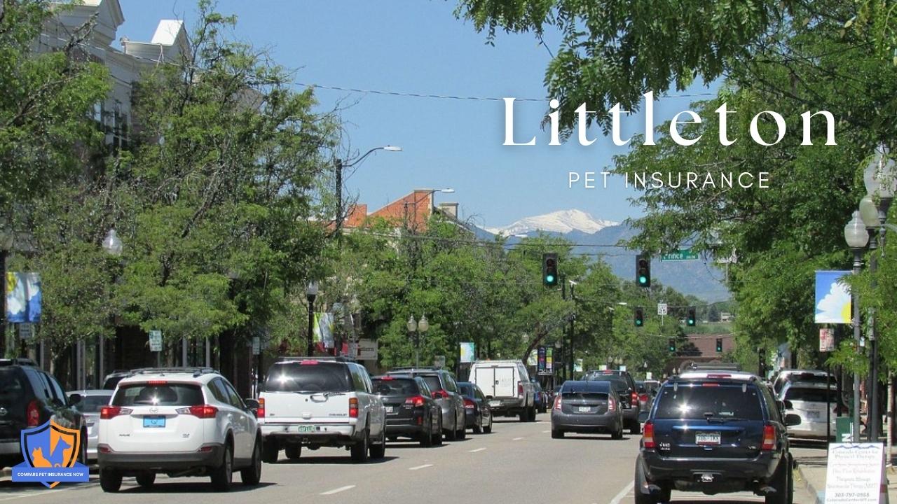 littleton pet insurance