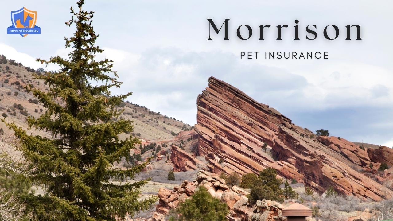 morrison pet insurance