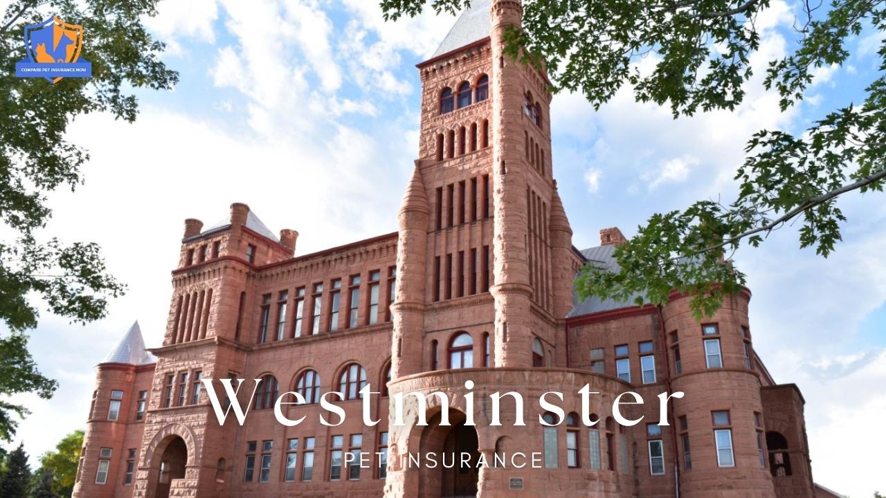 westminster pet insurance