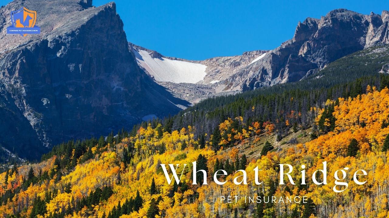 wheat ridge pet insurance